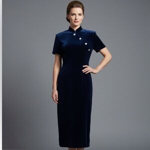 Vintage Velour Dress